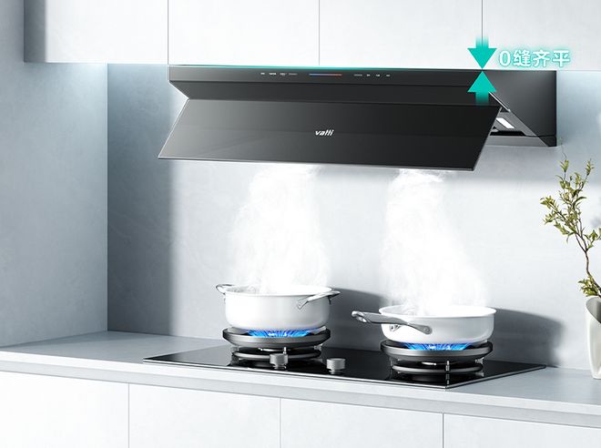 排行榜前十名华帝值得选择开元棋牌一线厨房电器品牌(图2)